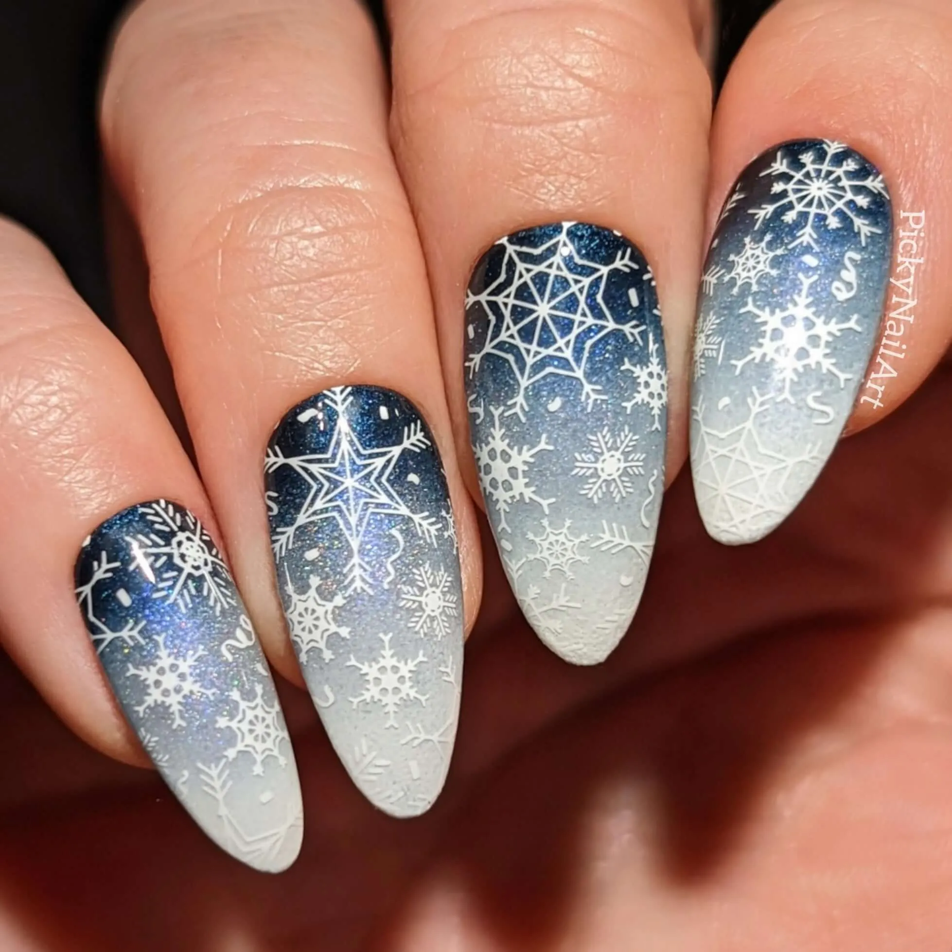 Patterned Winter (CjS-324) Steel Nail Art Layered Stamping Plate