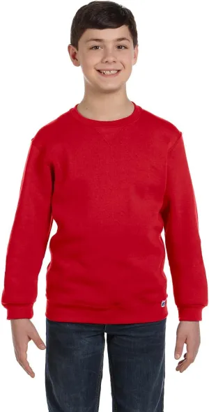 Russell Youth Dri-Power Fleece Hoodies & Sweatshirts, Moisture Wicking, Sizes S-XL